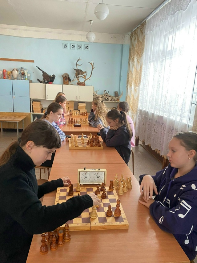 ПОСВЯЩАЛОСЬ ДНЮ СИБИРИ!
8 ноября в Кожановском шахмат...