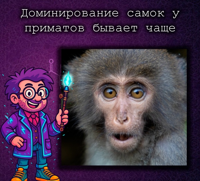 Самки приматов доминируют чаще, чем думали
Новое масш?...
