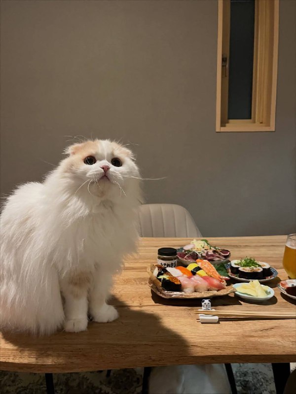 Никакова давления