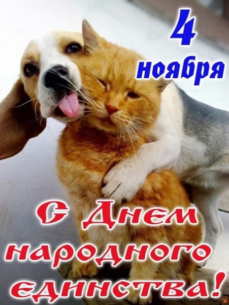 Перефразируя одного известного киногероя...