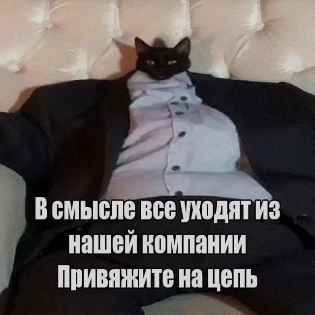 Ночная подборочка
Выходные, не спим