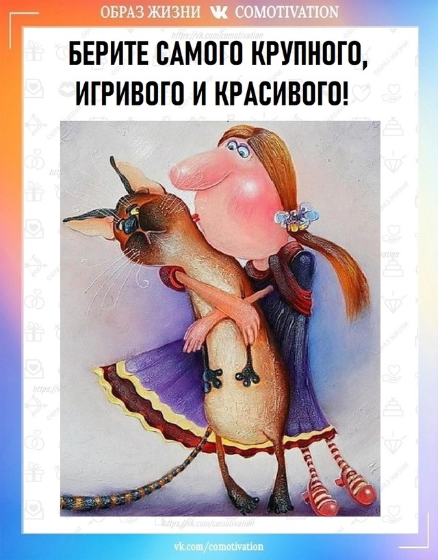 Не котята.