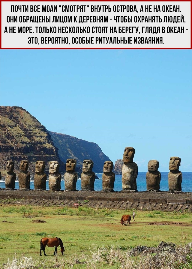 Поделись с тем, кто не знает об этом
Пересылайте посты ...