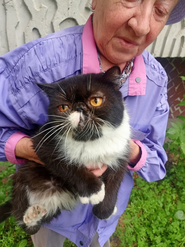 Может кто-то потерял такого красавчика или кому-то нуж?...