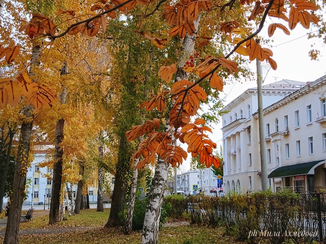 Сквер за Дворцом культуры ,, Жигулёвский,,