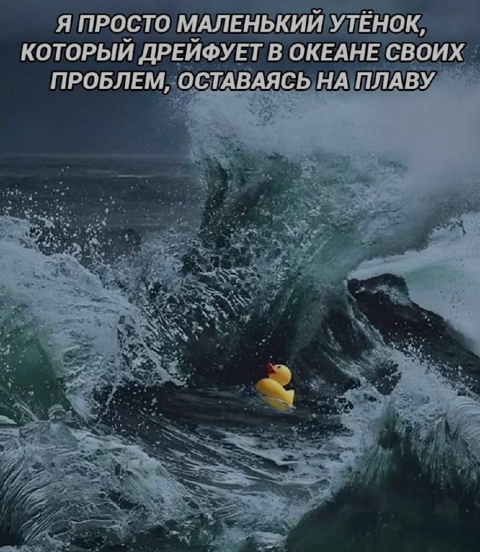 Ночная подборочка
Спать, режим