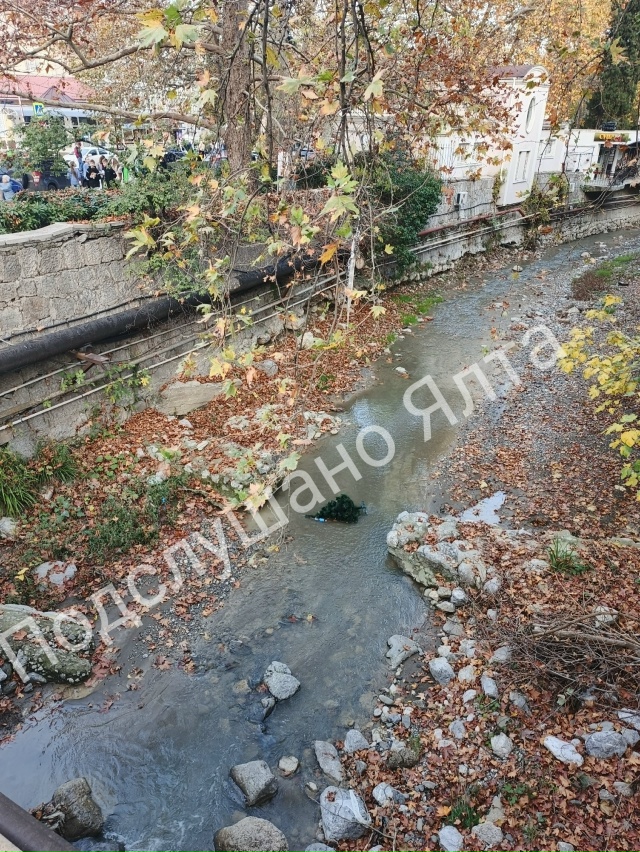 И что бы это значило? Кто-то в Ялте уже выбросил новогод...