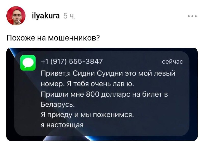 Распространите: Сидни Суини написывает белорусам и просит денег
Не упустите свой шанс 🧠