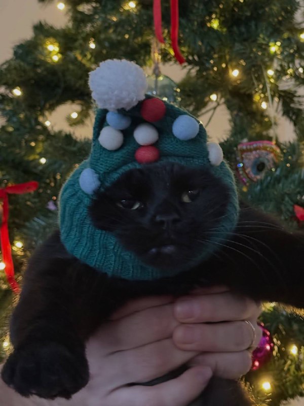 Ето я счастливый и радостный, проникаюсь новогодним духом