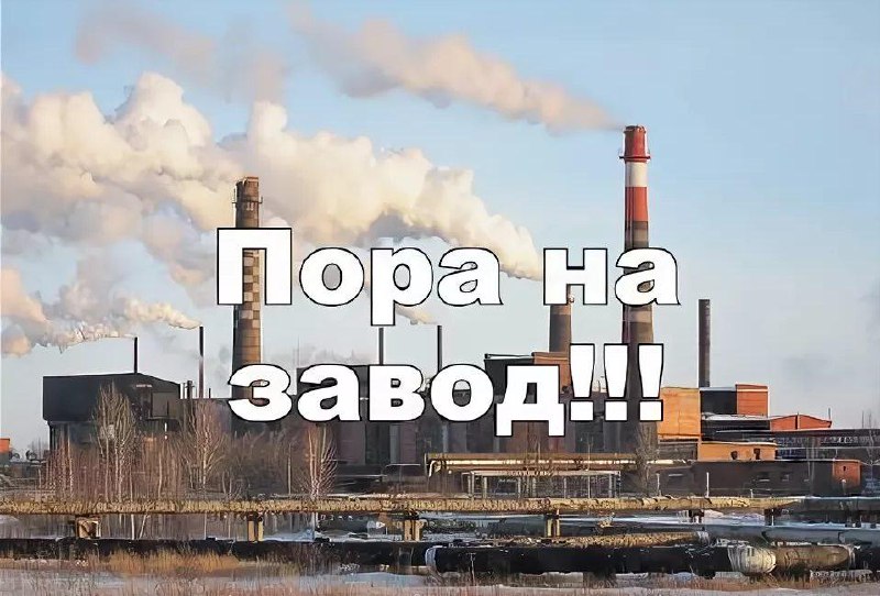 Учёные из Японии создали лекарство, которое позволяет людям отращивать свои естественные зубы вместо
