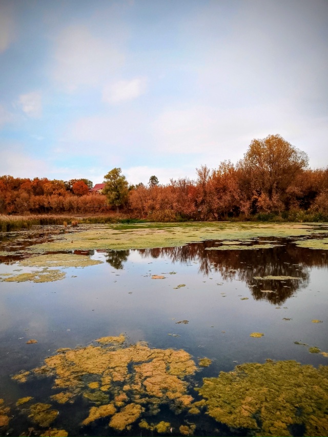 Фото от подписчика.
🤩Хочешь чтобы твоё фото было тут?...