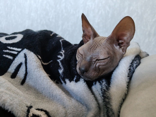 Вездесущие всратыши♥️♥️♥️