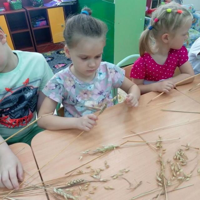 Совята на пути к профессии 