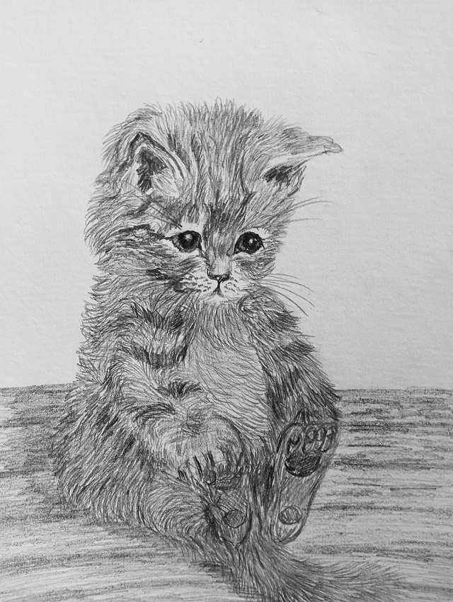 Алена Аленкина
Пушистая МАЛЕНЬКОСТЬ Юлю
Простой каран...