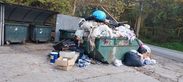 Крысы, вонь и пожарная опасность: сочинцы стали заложн?...