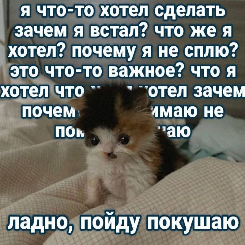 Утренняя подборочка