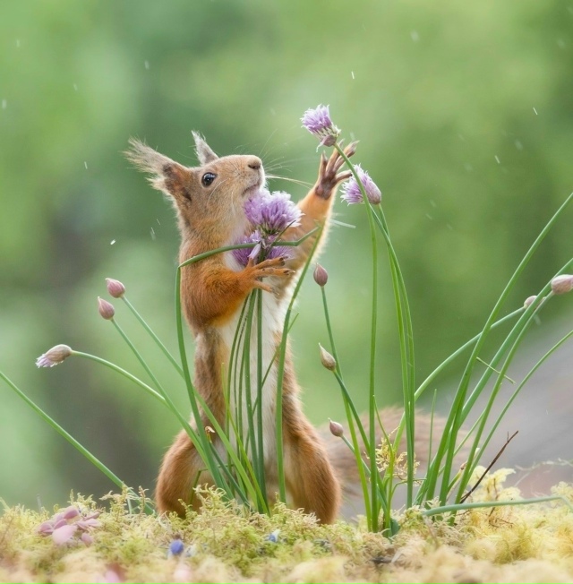 6 лет понадобилось фотографу, чтобы снять такие шикарн?...