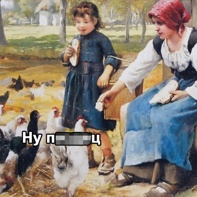 Курочки не в восторге