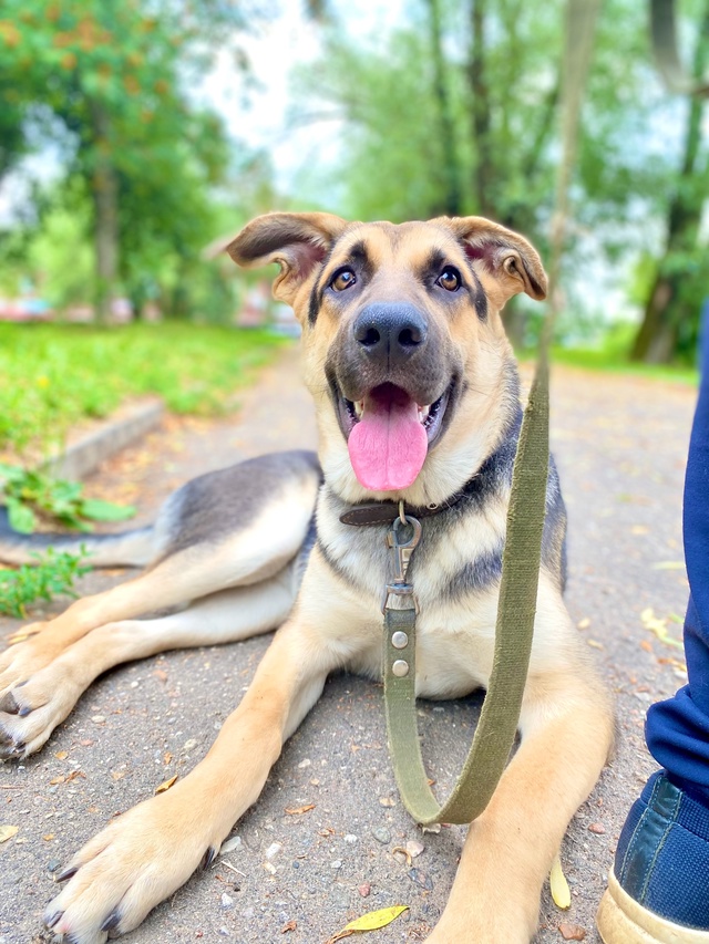 Она правда классная!
Но так никем пока и не замечена.
#М?...