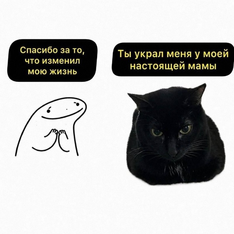 Утренняя подборочка