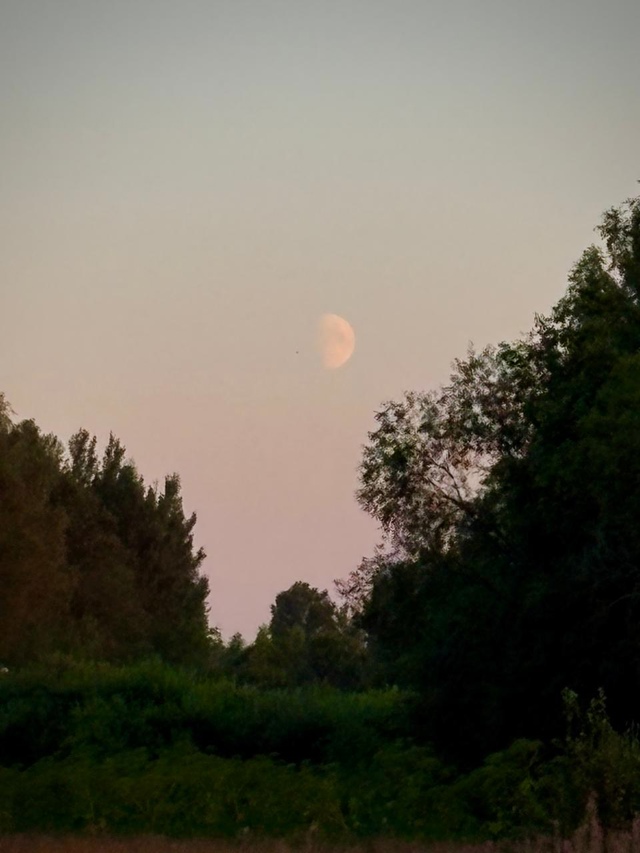64 день лета. Межозёрный.