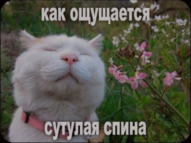 Ночная подборочка
Выходные, не спим