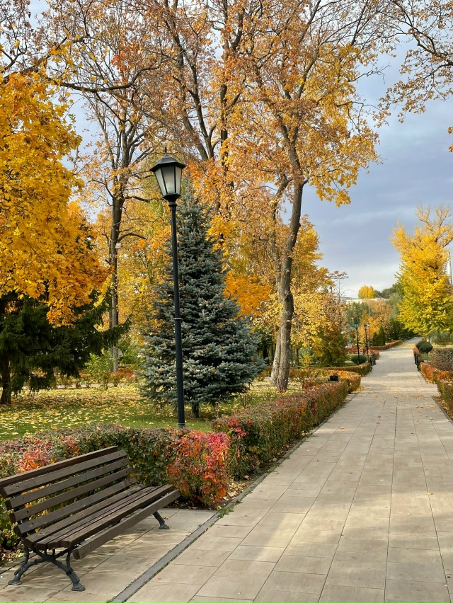 Снова осень 🍂 за окном
📸