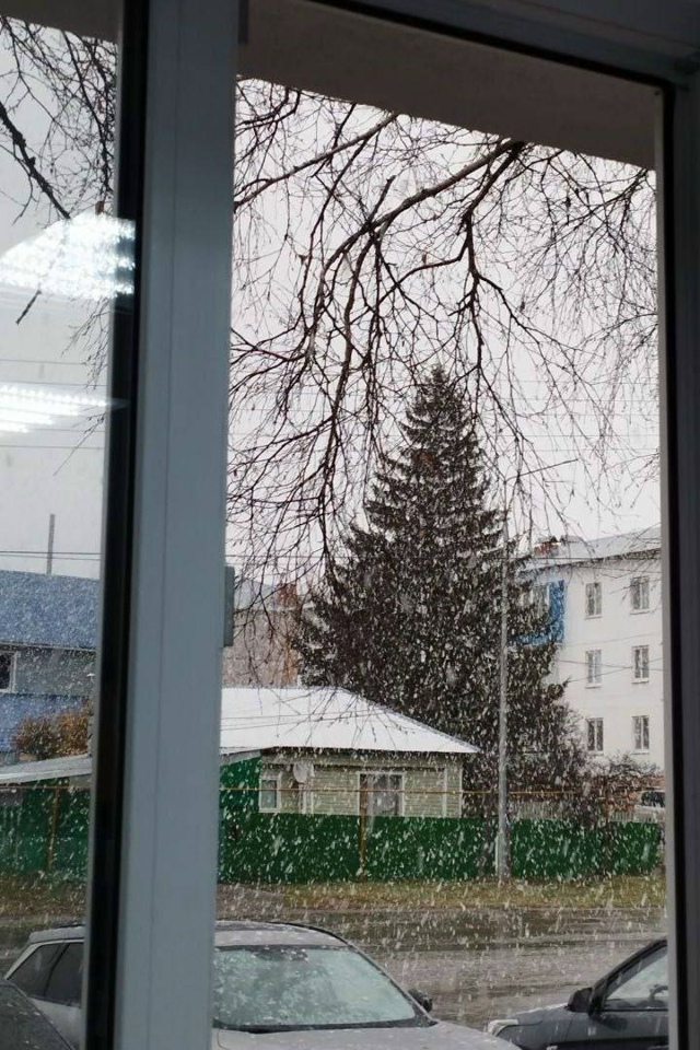 ❄️В Самарской области выпал первый снег!
Осадки зафи?...