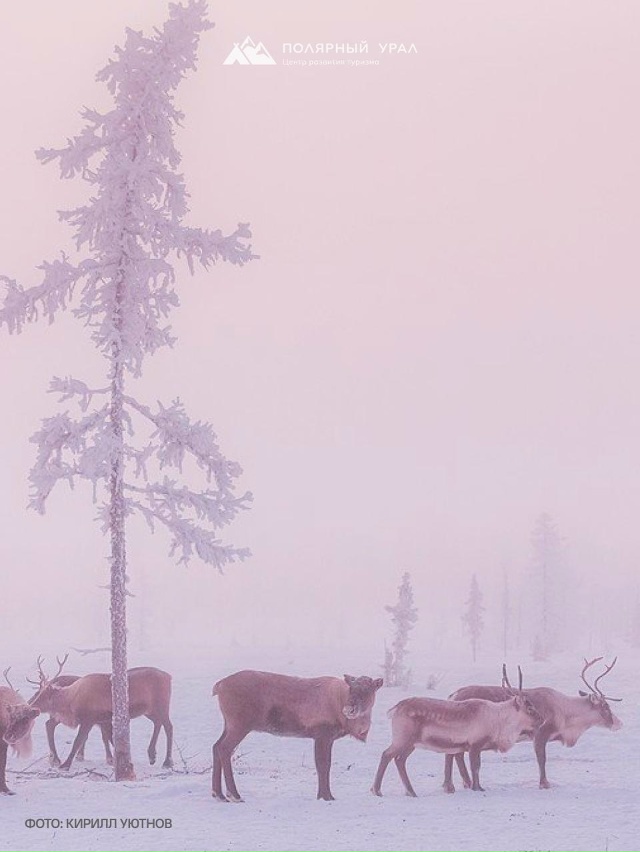 Какие краски❤
Фото: Арктика ВКонтакте