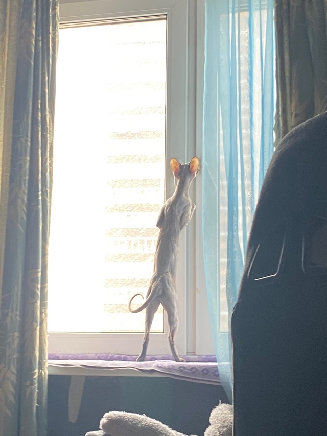 Джульке годик! ?
p.s. Последнее фото сделано в первый д?...