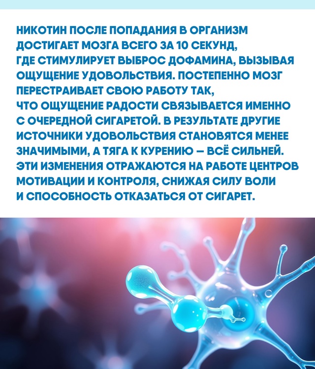 Долговременные изменения в мозге объясняют силу тяги ?...