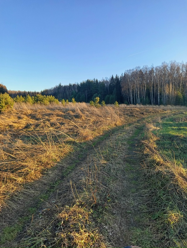 Катнул по райончику