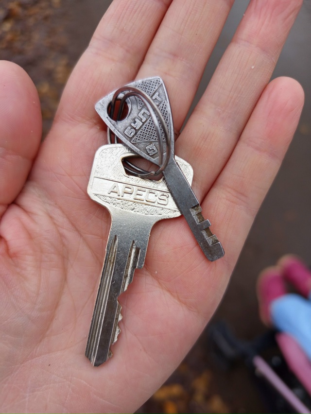 Найдены ключи у д/с