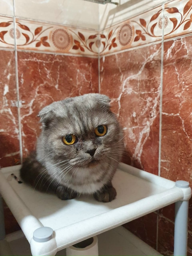 Админ, опубликуй, пожалуйста!
Переславль!
СРОЧНО!
В ра...