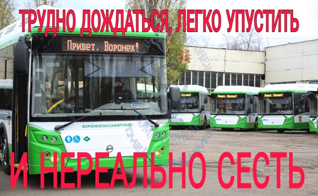 База воронежских маршруток. Хоть что-то стабильное в г?...