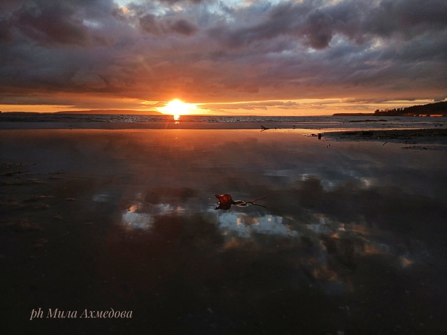 Закат сегодня просто невероятной красоты. Жигулёвское...