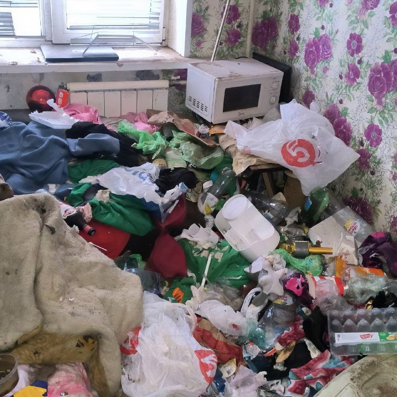 Российская альтушка превратила съёмную квартиру в свалку — среди мусора даже нашли мёртвую кошку
Жи