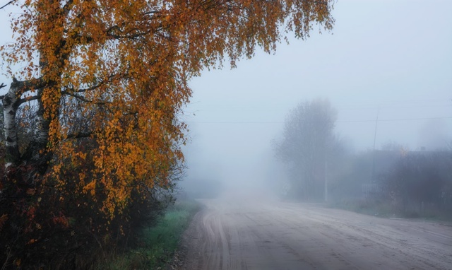 🌧️☔Рабочая неделя в Смоленской области начнётся с т?...
