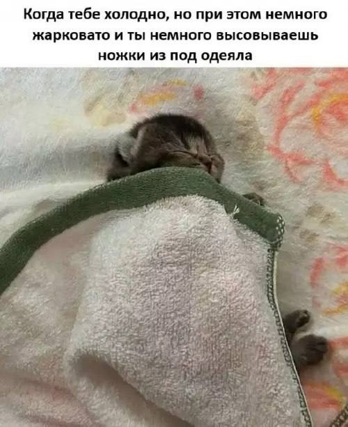 Утренняя подборочка