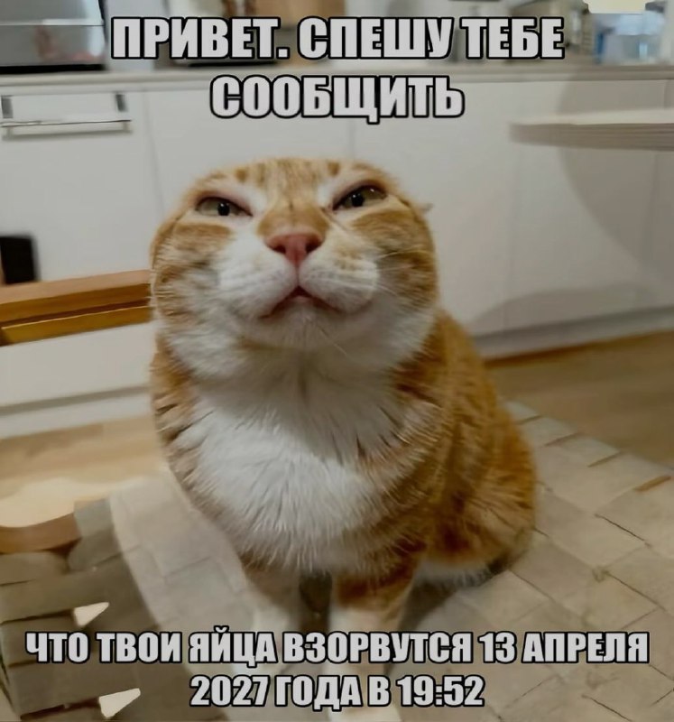 Ночная подборочка
Спать, режим