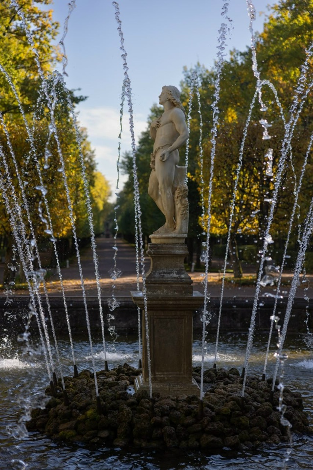 Золотой листопад в Петергофе 🍁