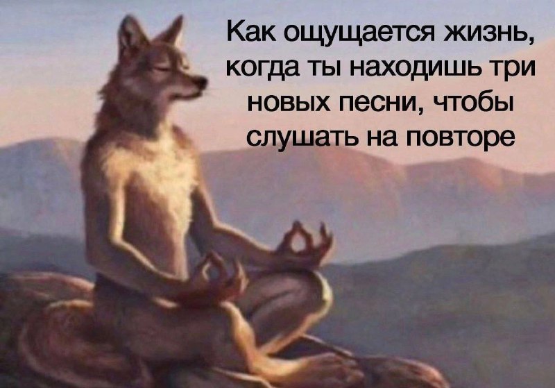 Утренняя подборочка