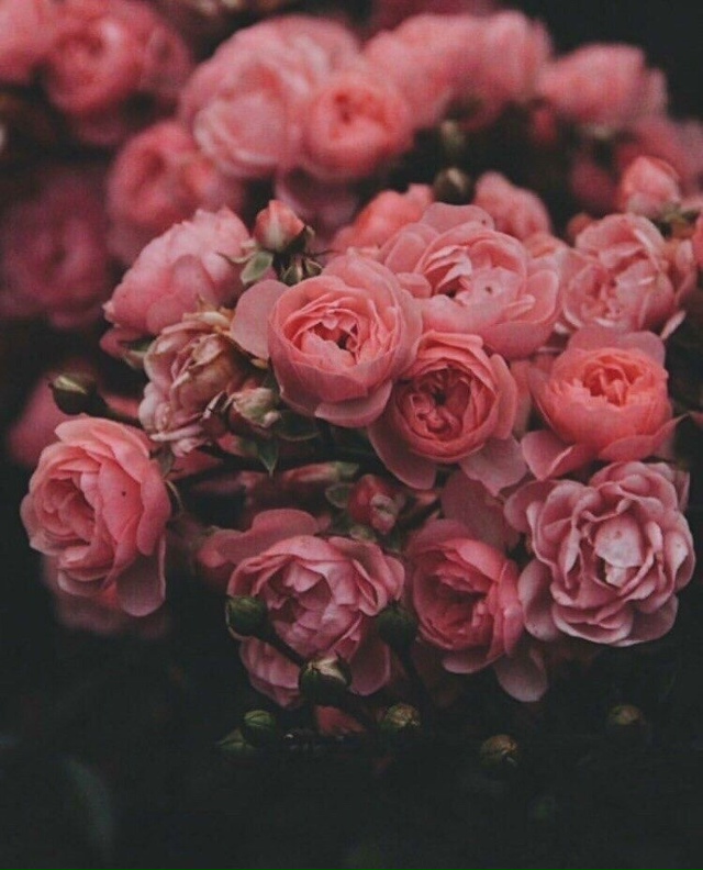 все сражения нужны в жизни для того, чтобы чему-то нас н...