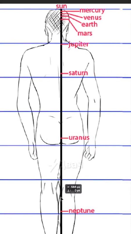 Двач познавательный: если сравнить пропорции человеческого тела с орбитальными расстояниями небесных