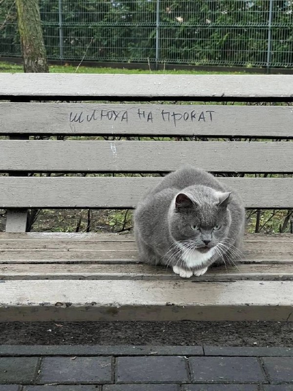 та самая дуделка на тусе