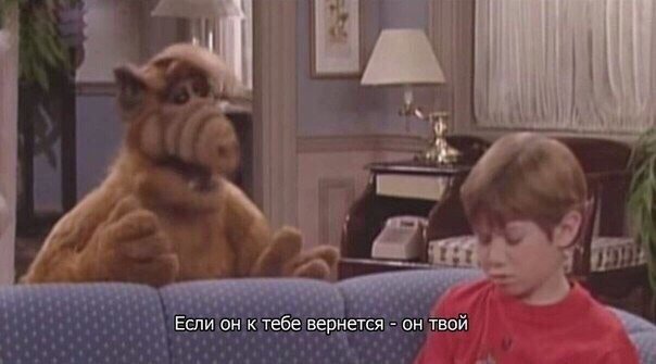 Такая жизненная мудрость😂