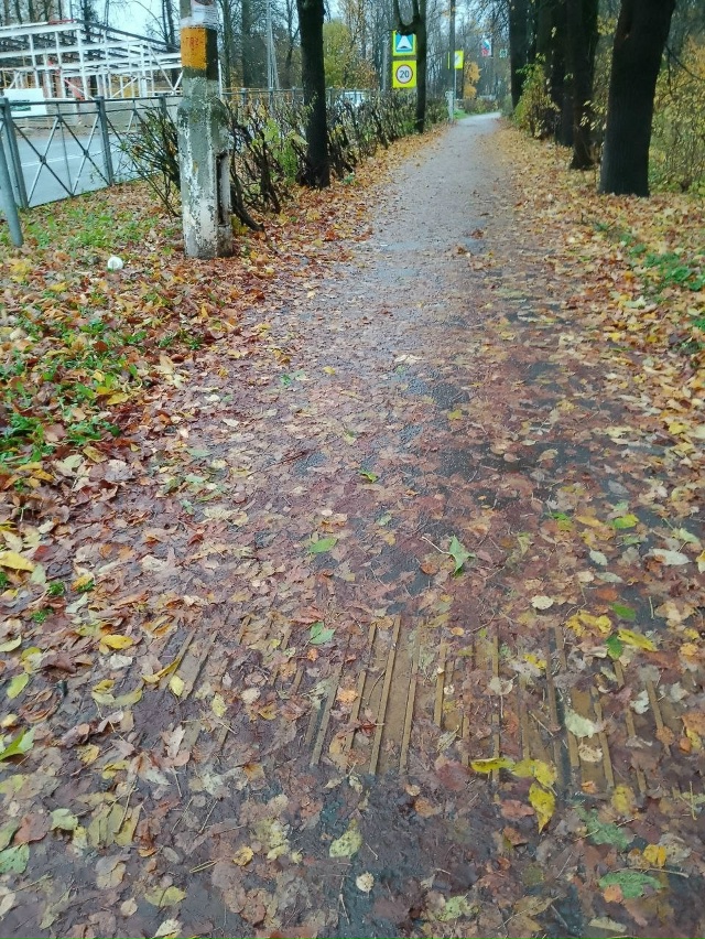 Уважаемый Мосавтодор.
Пожалуйста, очистите от листьев...