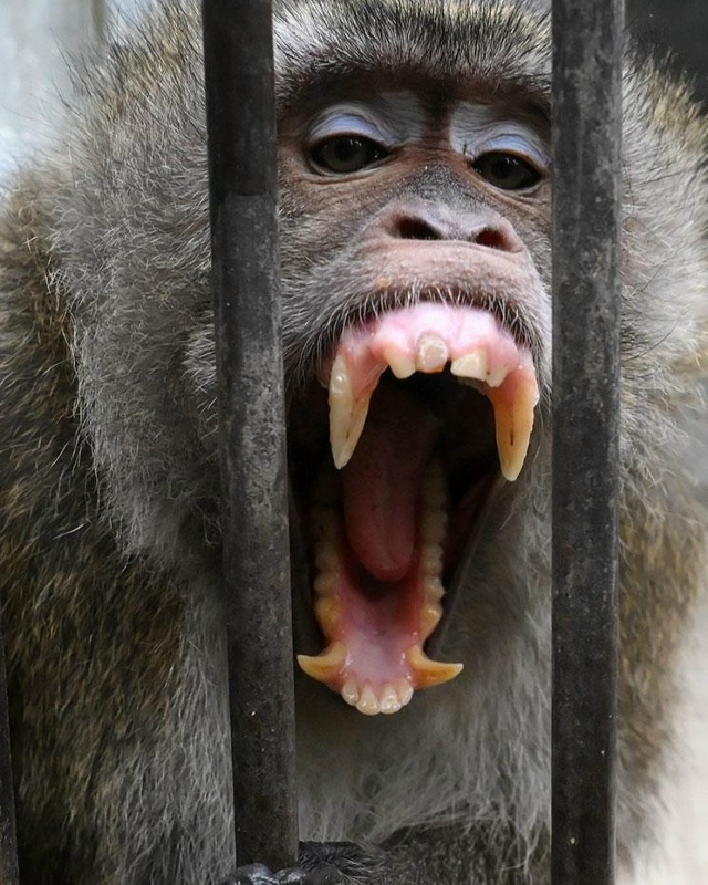 В Пенсильвании после ДТП перевернулся грузовик с подо?...