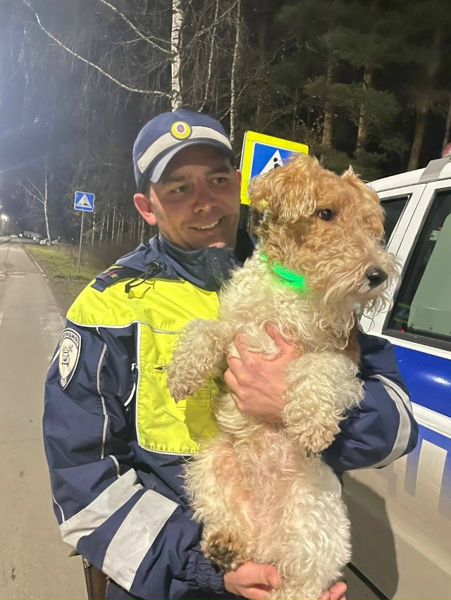 🥰Милота дня: новость из Трёхгорного
Coтрудники полици?...