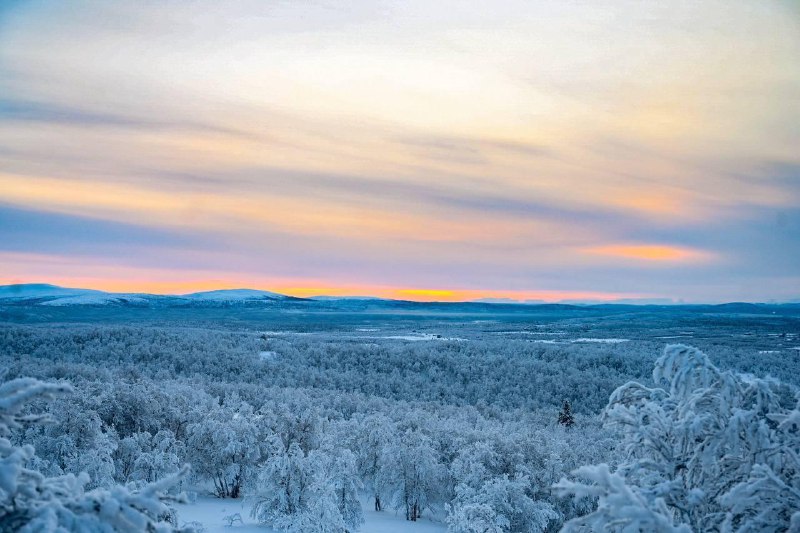 Жители Мурманска наконец-то вышли из сумрака: спустя 40 дней беспросветной тьмы город увидел солнце.